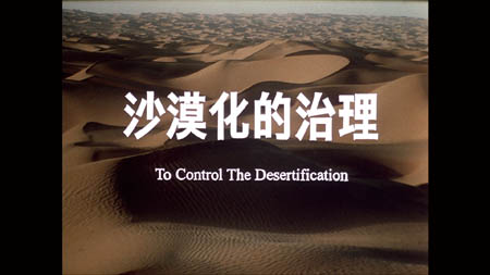 ɳĮ��������