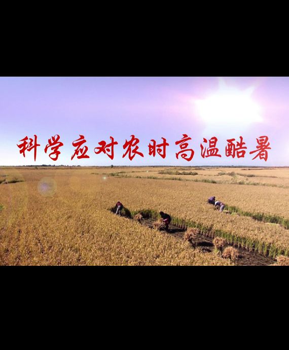 �ƌW(xu��)��(y��ng)��(du��)�r(n��ng)�r(sh��)�ߜؿ���