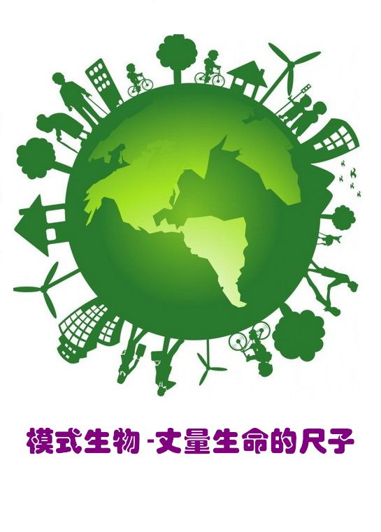 ģʽ����--����������..