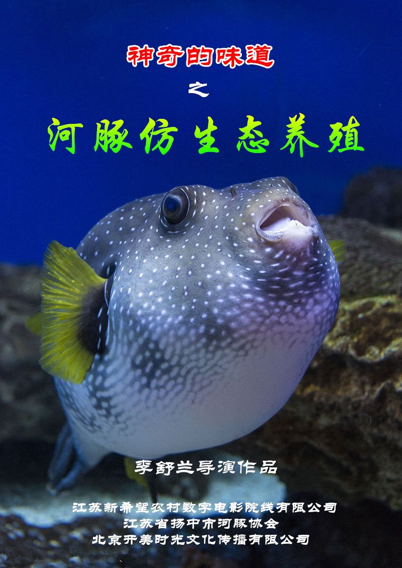 �����ζ��֮�������..