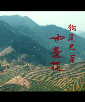 ��β�Ͳ�Ҳ�ǻ�