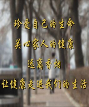 �����к�����