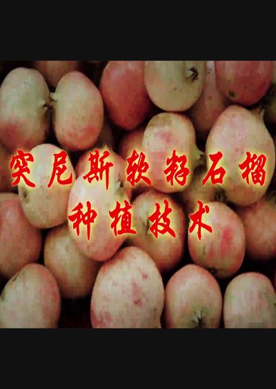 ͻ��˹ܛ��ʯ��Nֲ��..