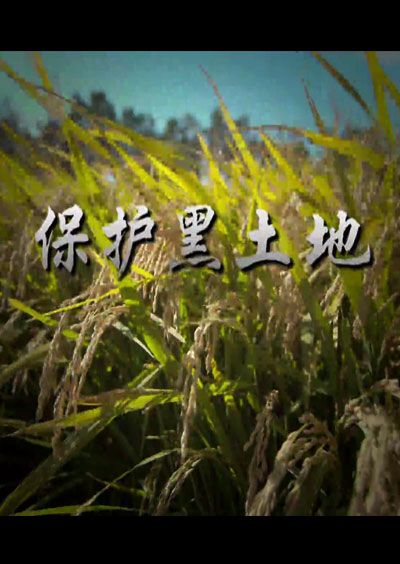 ���o(h��)������