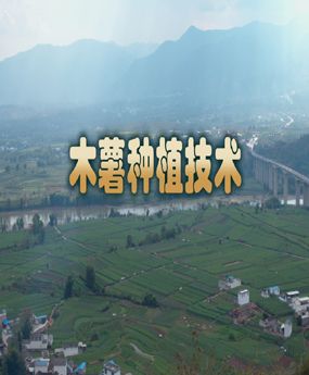 ľ���Nֲ���g(sh��)