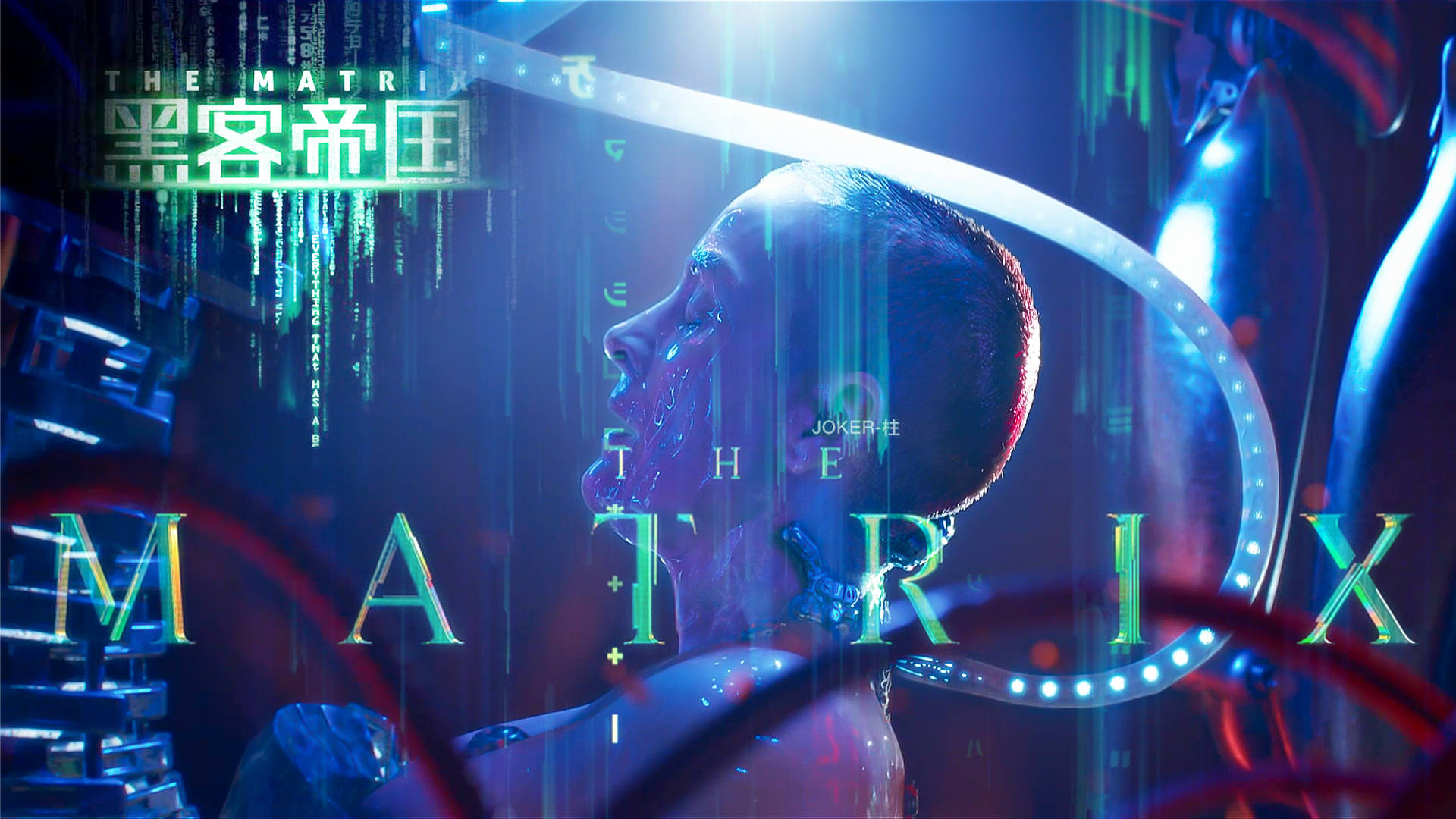 �ڿ͵ۇ�(gu��)������؆�