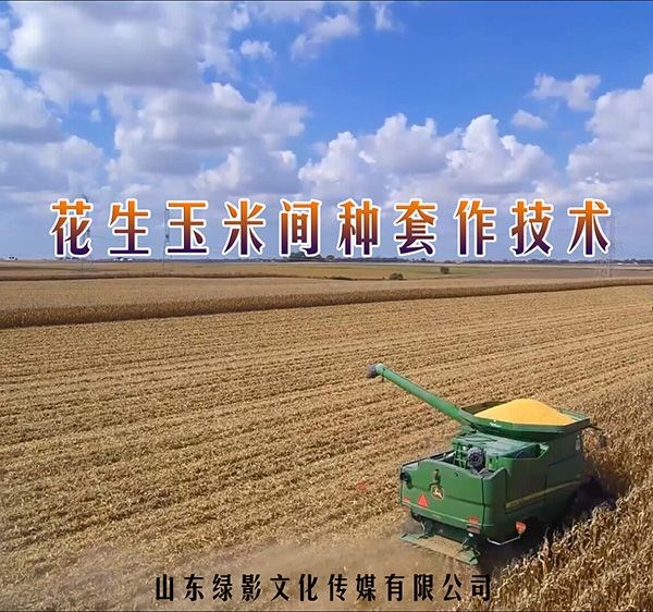 ���������g���׷N���g(sh��)