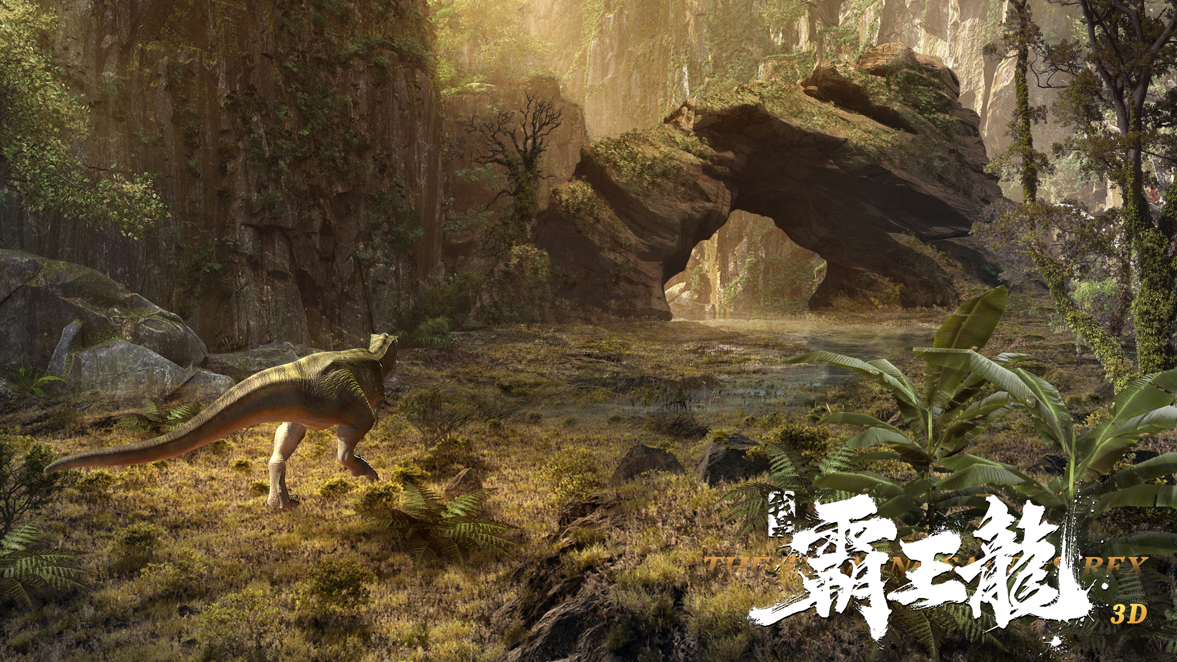 ���ǰ�����