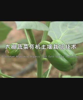 �����߲��ЙC��������..