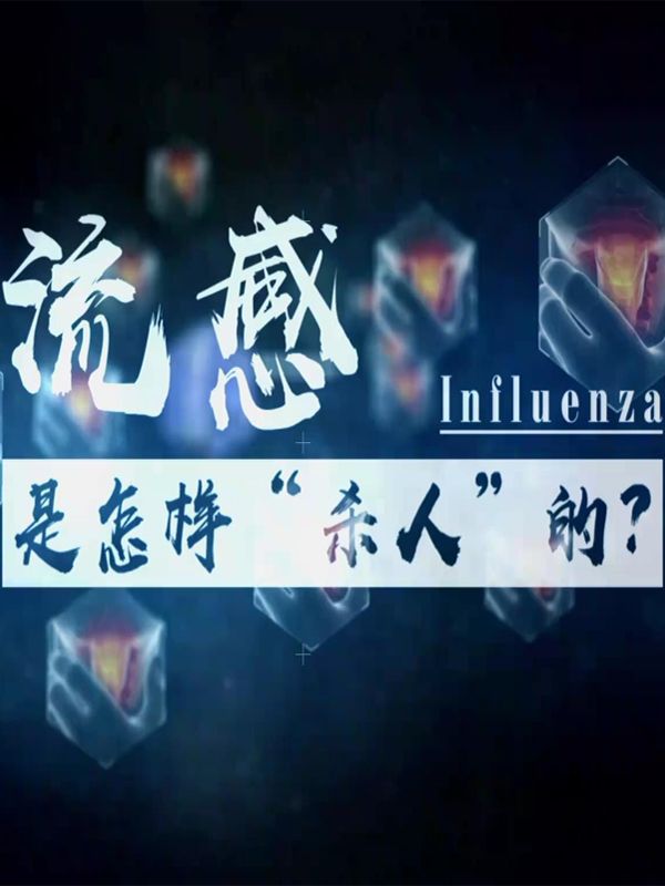 ���������ӡ����ˡ���..