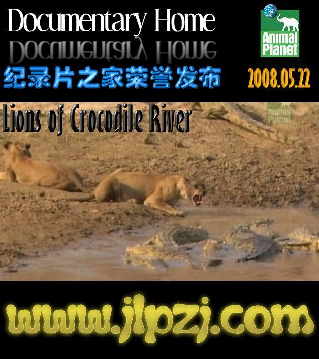 �{�~(y��)���ϵĪ{Ⱥ