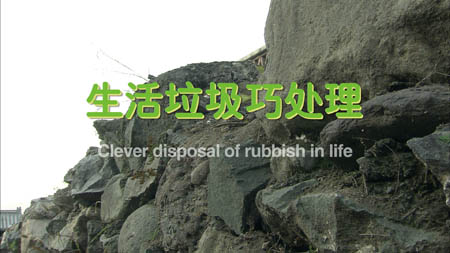 ����������̎��