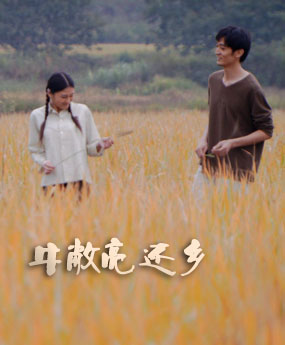 ţ����߀�l(xi��ng)