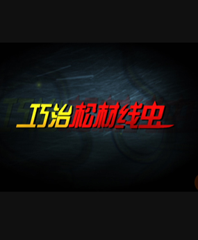 �����ɲľ��x